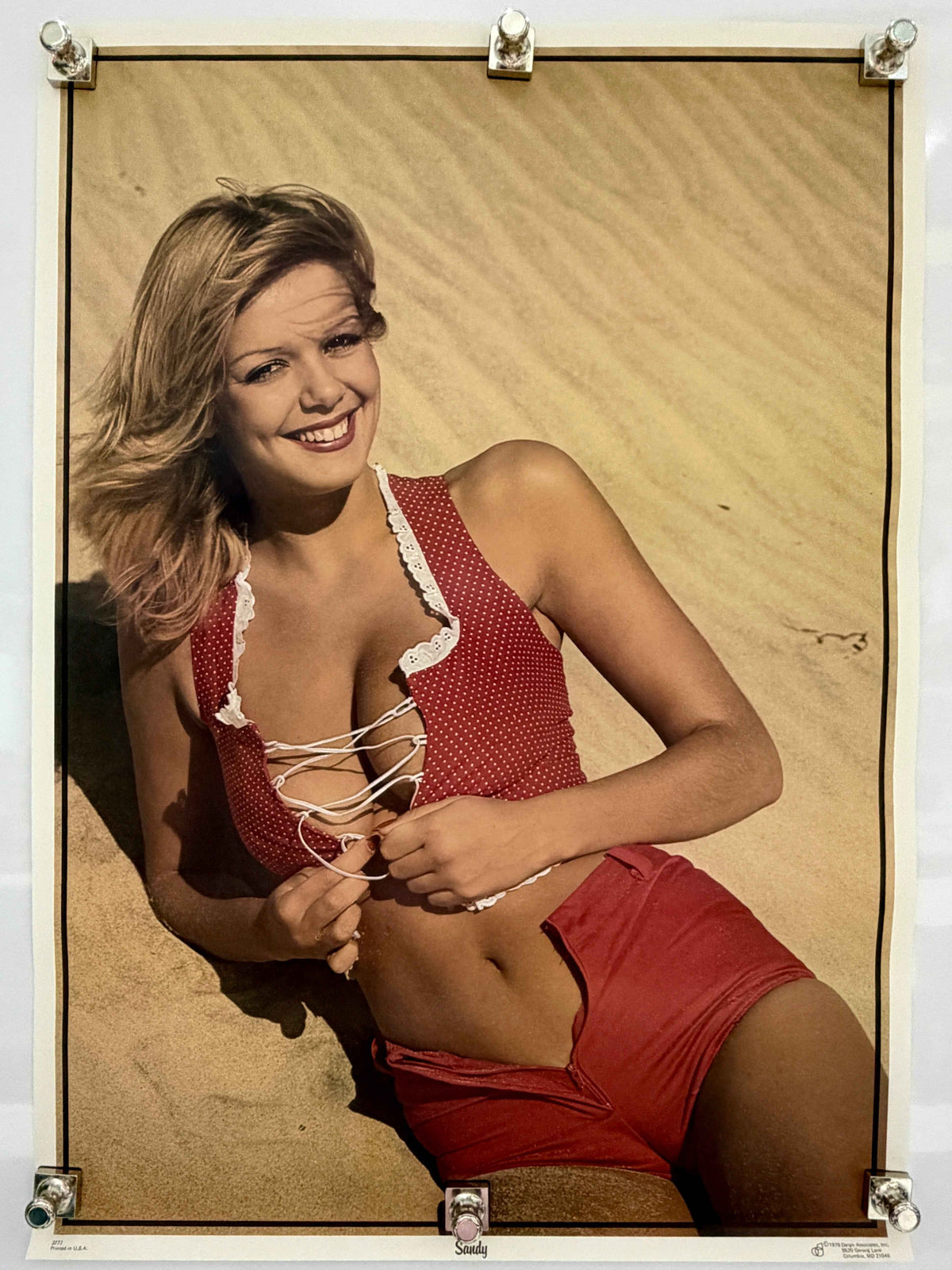 SANDY 1978 Original Dargis Associates Rolled Pin-Up Poster 20x28