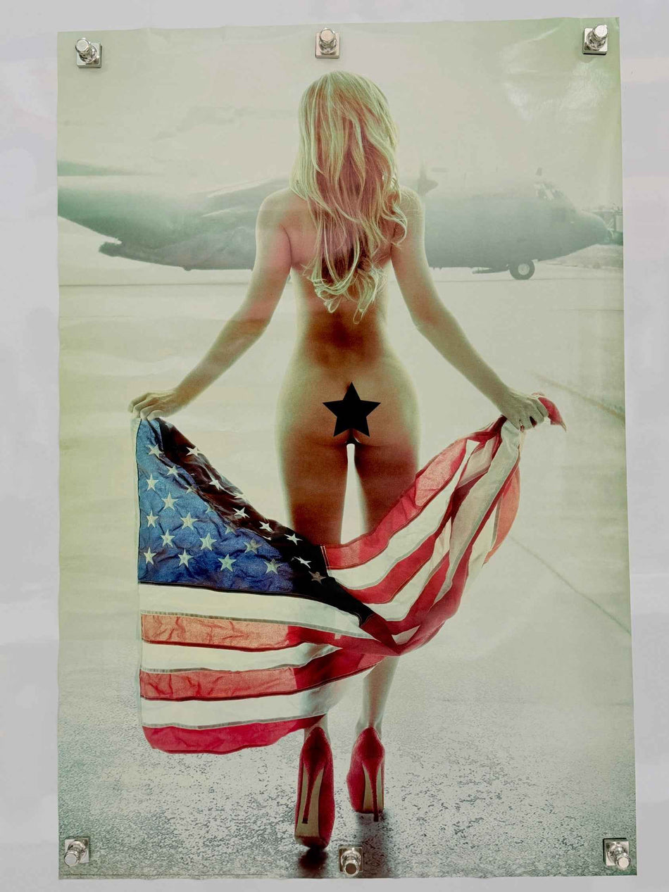 Flown Flag (2016) Art Poster 24x36