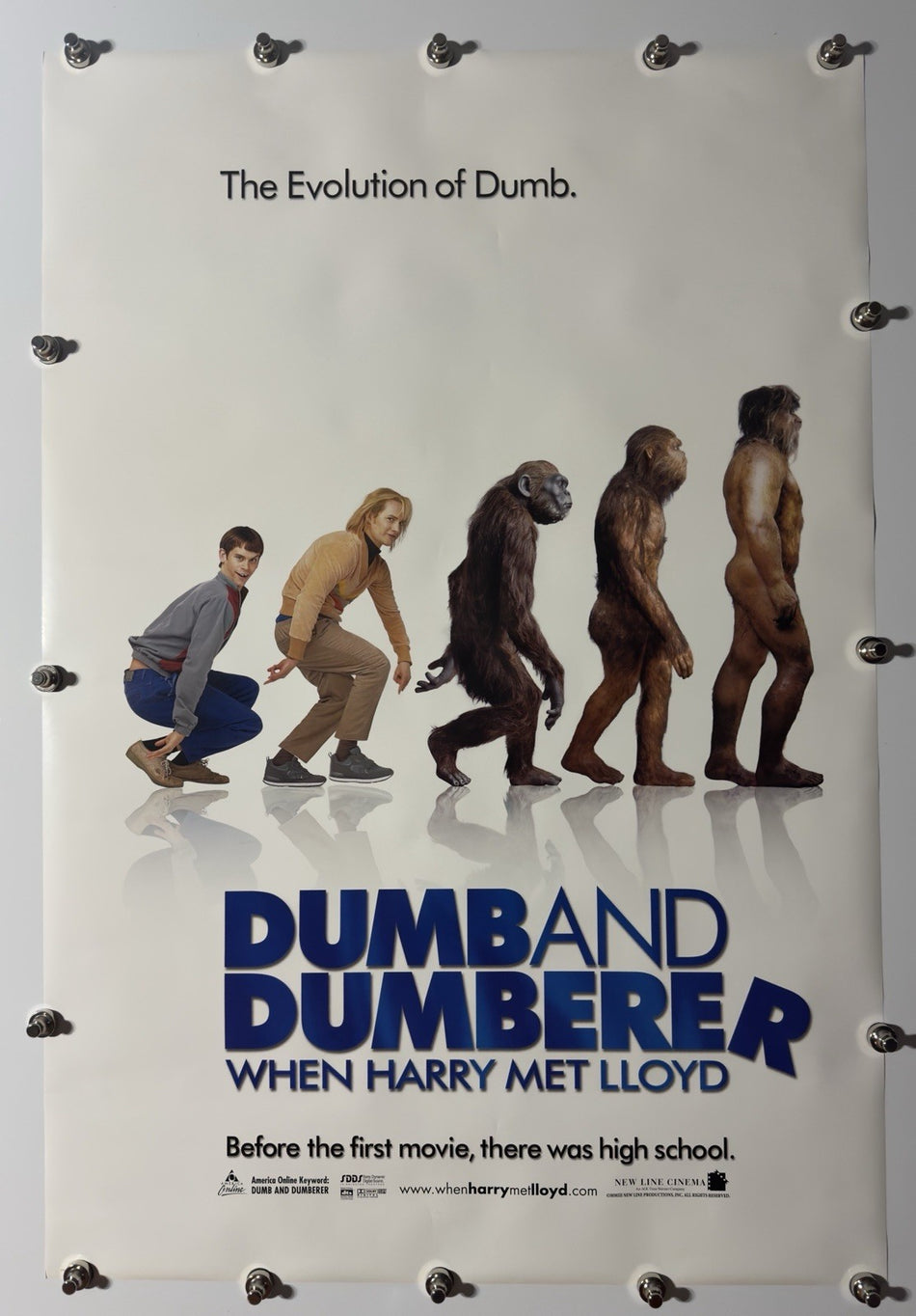 DUMB AND DUMBERER: WHEN HARRY MET LLOYD 2003 Original Movie Poster 27x40 DS Rolled Eric Christian Olsen - Joe's Geek VLT