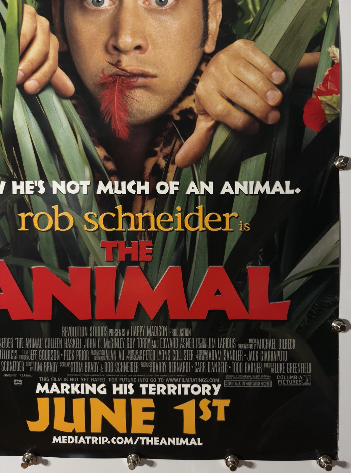 THE ANIMAL 2001 Original Movie Poster 27x40 DS Rolled Rob Schneider - Joe's Geek VLT
