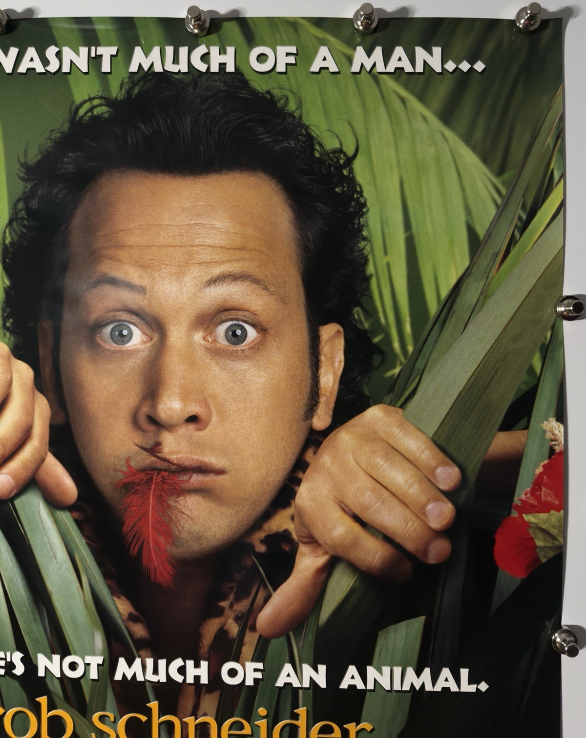 THE ANIMAL 2001 Original Movie Poster 27x40 DS Rolled Rob Schneider - Joe's Geek VLT