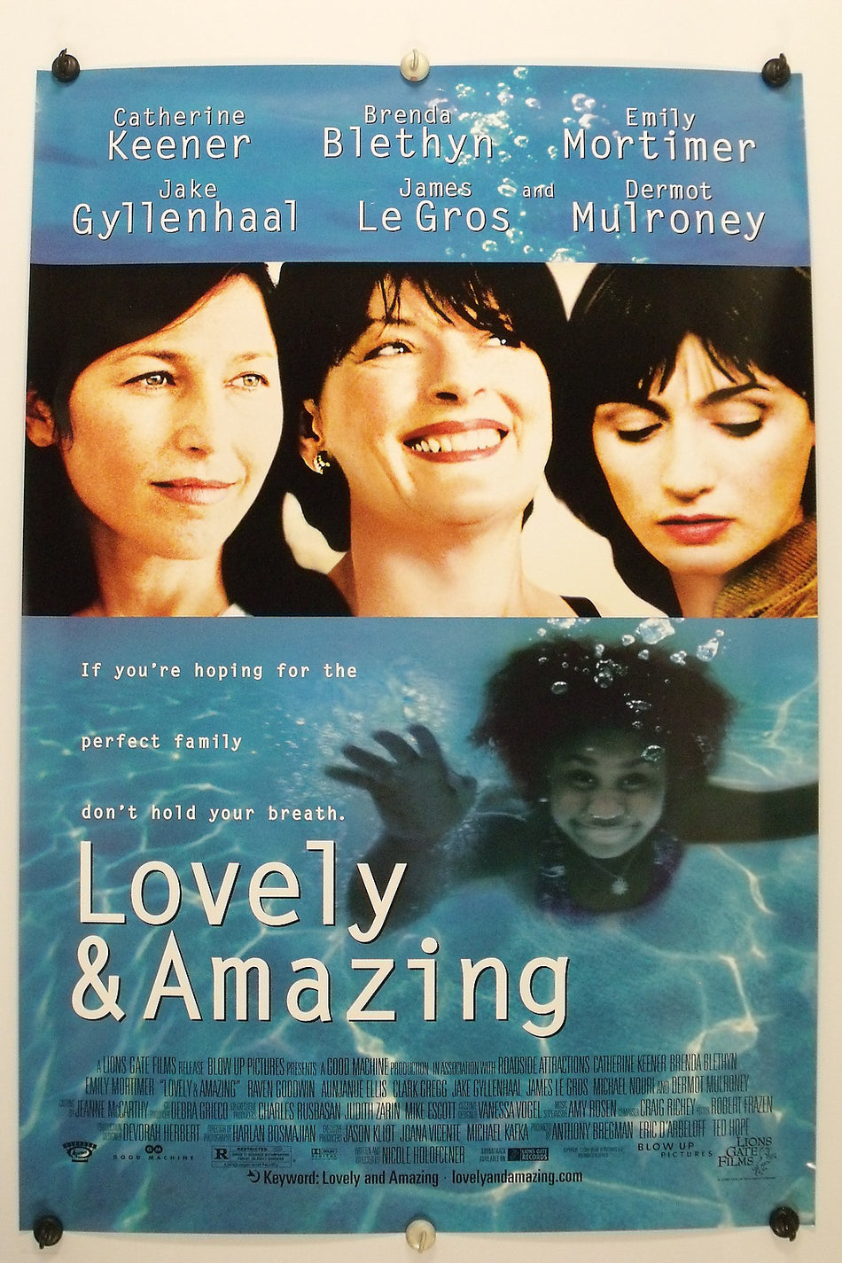 LOVELY & AMAZING 2001 Original Movie Poster 27x40 DS Rolled Catherine Keener - Joe's Geek VLT