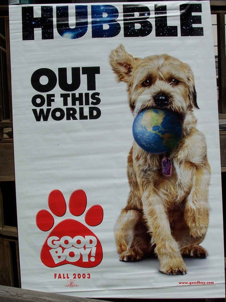 GOOD BOY 2000 Original Movie Banner 48" x 84" DS Rolled Matthew Broderick - Joe's Geek VLT