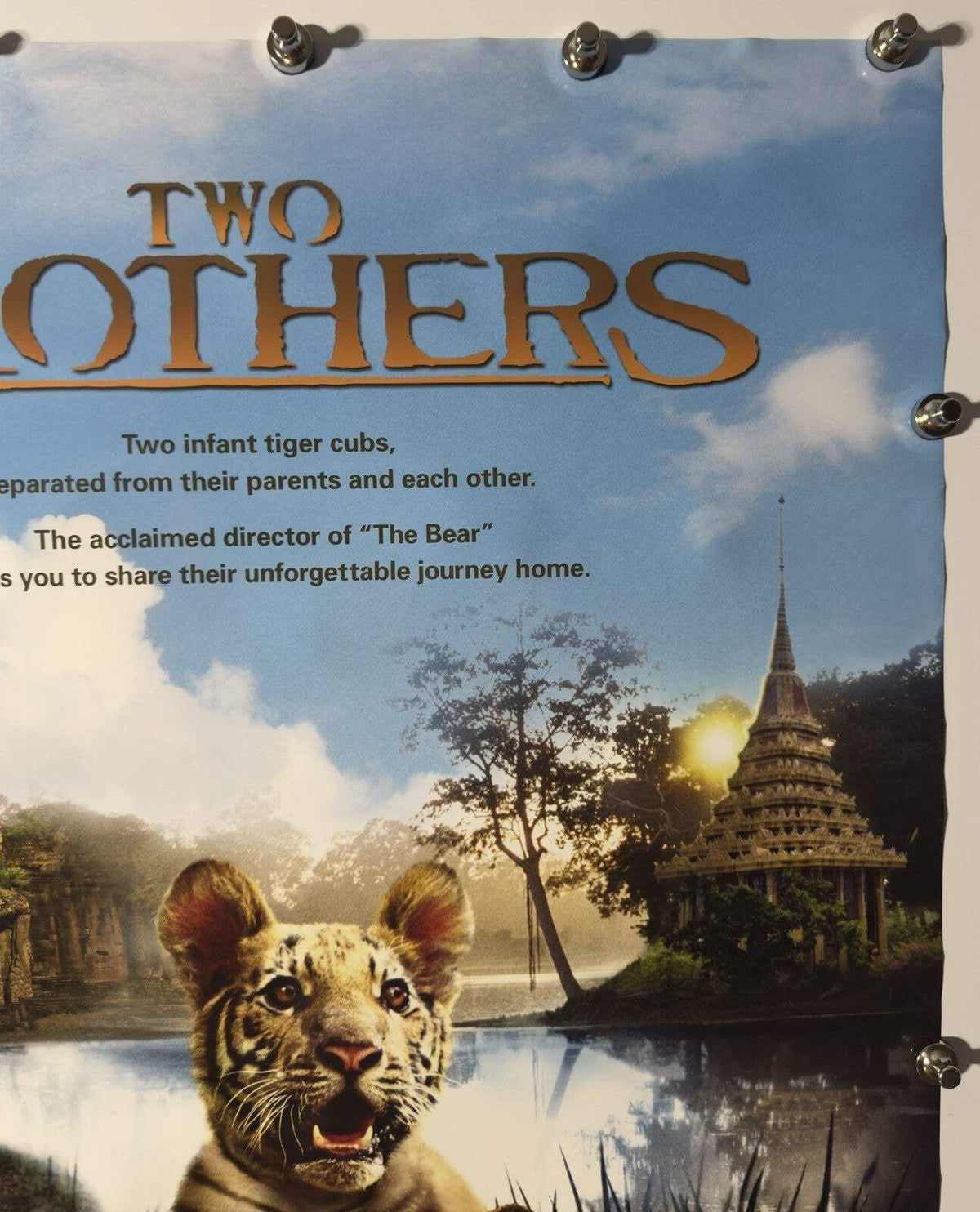 Two Brothers - Original Movie Poster - 2004 - Rolled DS
