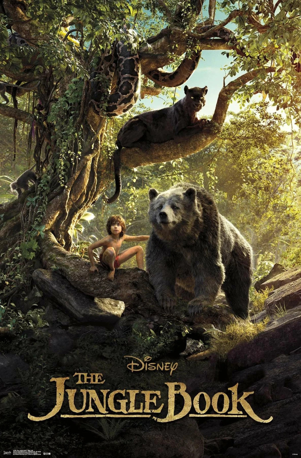 The Jungle Book Man Club Poster - Trends International - NOS - 24 x 36 - RP14260
