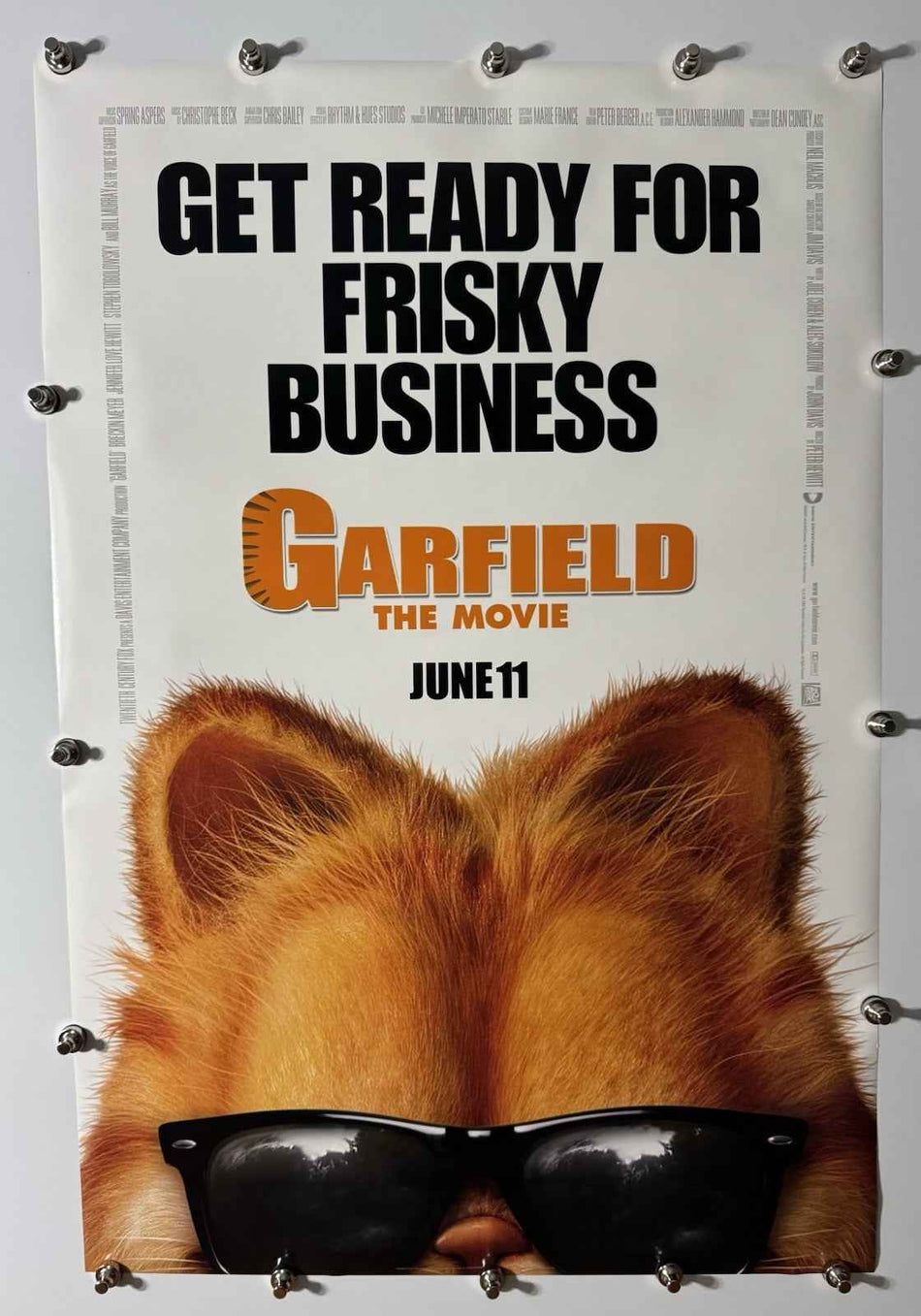 GARFIELD THE MOVIE 2004 Original Movie Poster 27x40 DS Rolled Bill Murray Style B - Joe's Geek VLT