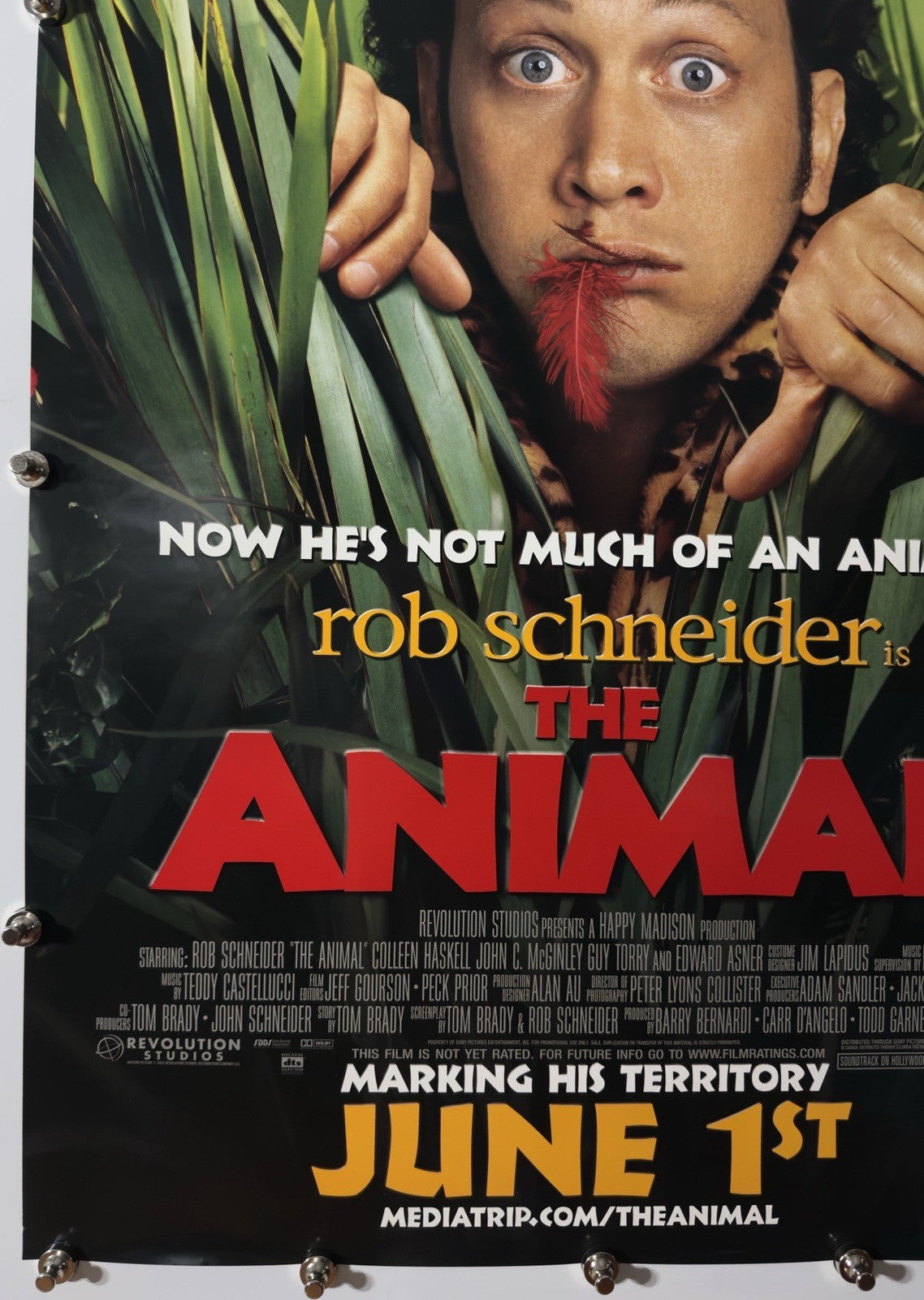 THE ANIMAL 2001 Original Movie Poster 27x40 DS Rolled Rob Schneider - Joe's Geek VLT