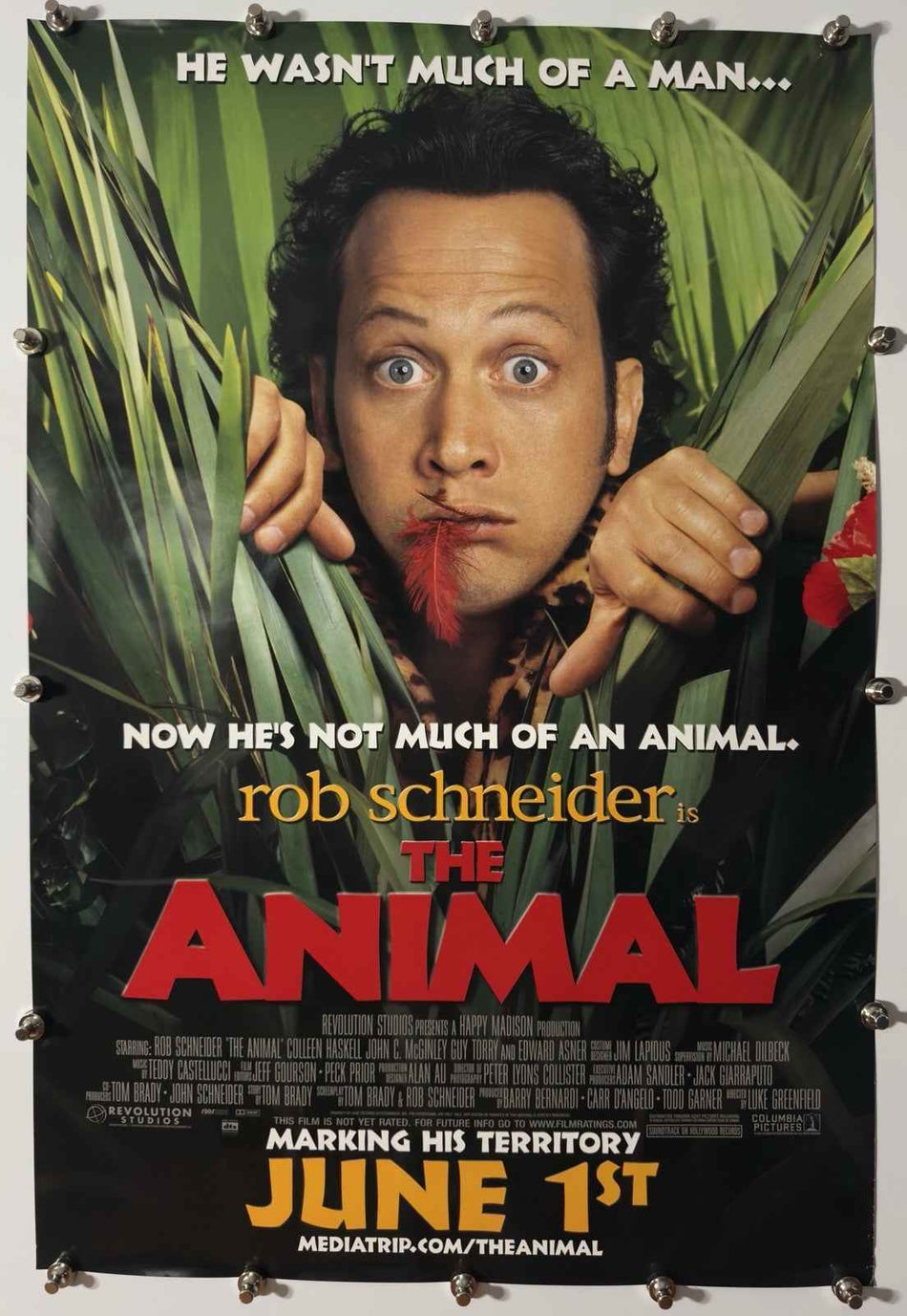 THE ANIMAL 2001 Original Movie Poster 27x40 DS Rolled Rob Schneider - Joe's Geek VLT
