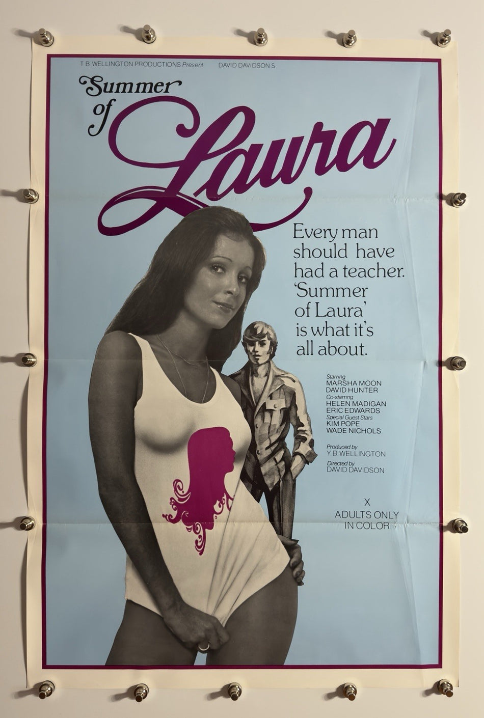 SUMMER OF LAURA 1976 Original Movie Poster 27x41 SS Rolled Marsha Moon Eric Edwards - Joe's Geek VLT