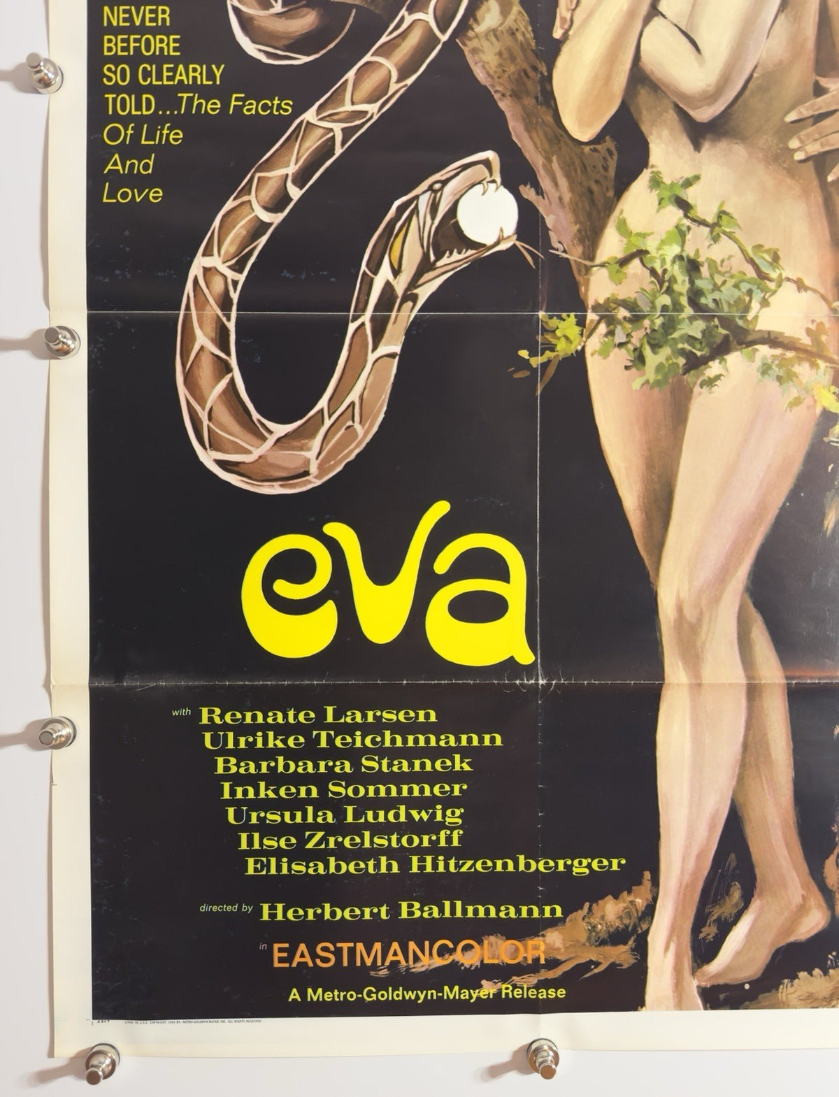 Eva - Original Movie Poster - 1969 - Rolled SS