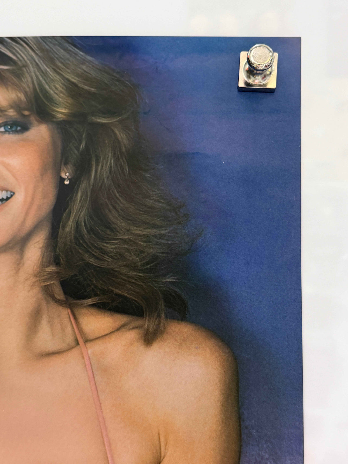 CHERYL TIEGS 1978 Original Pro Arts Pin-Up Poster 20x28 Rolled