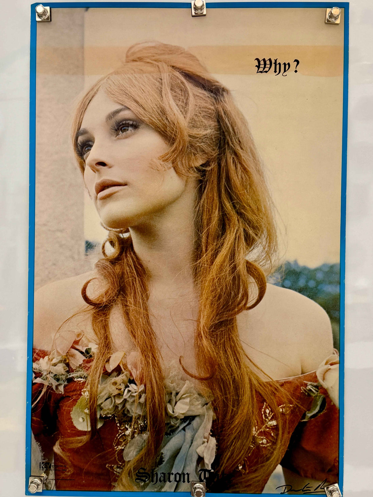 Vintage 1971 Sharon Tate WHY Poster Original Frank Kay Distributors 22x35 Manson