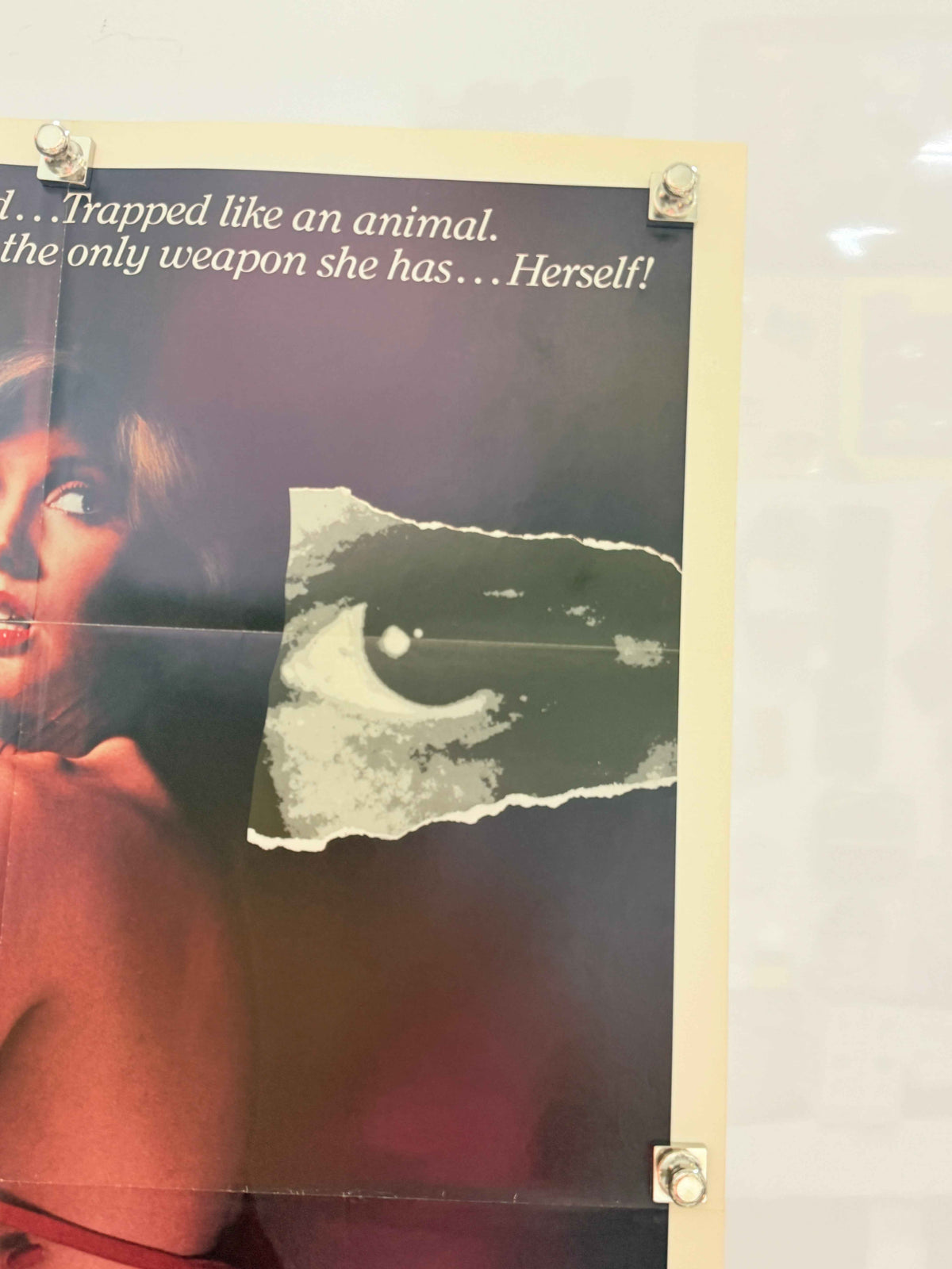 THE SEDUCTION 1982 Original Movie Poster 27x41 SS Morgan Fairchild