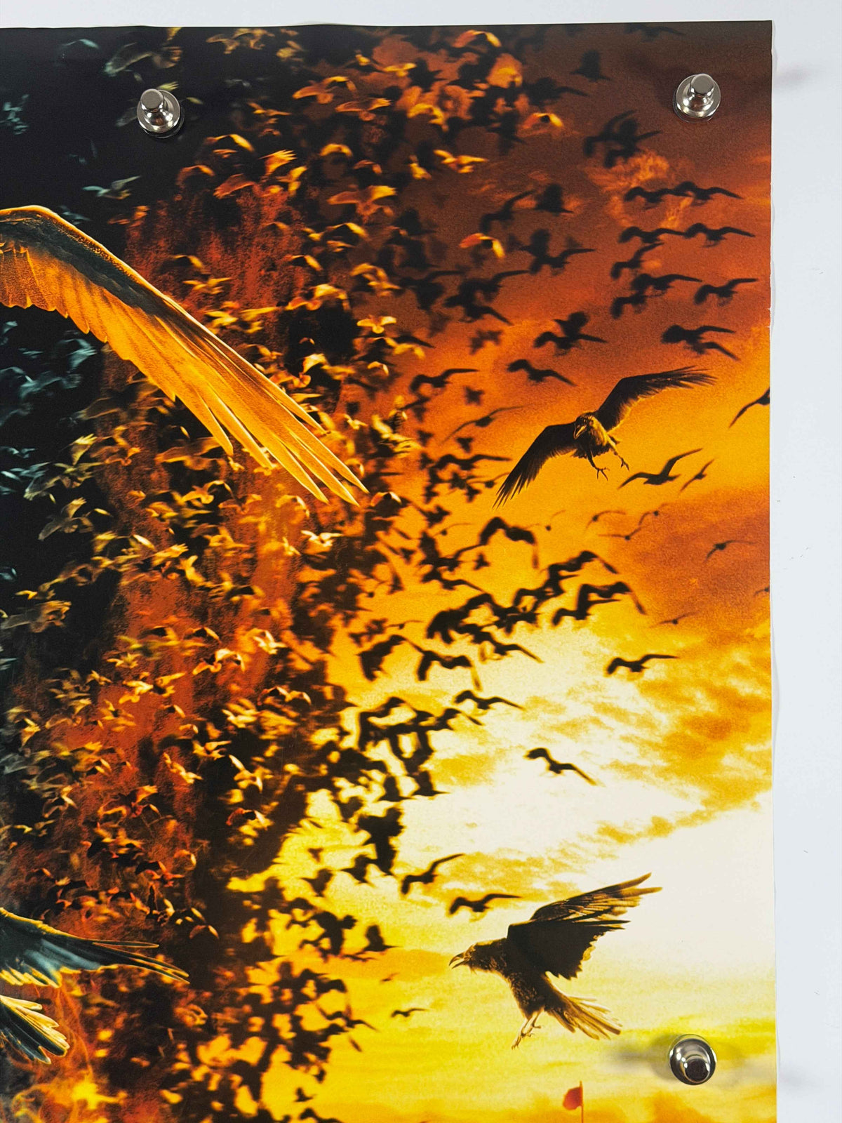 DAY WATCH 2007 Original Movie Poster 27x40 SS Rolled Fantasy Horror Timur Bekmambetov