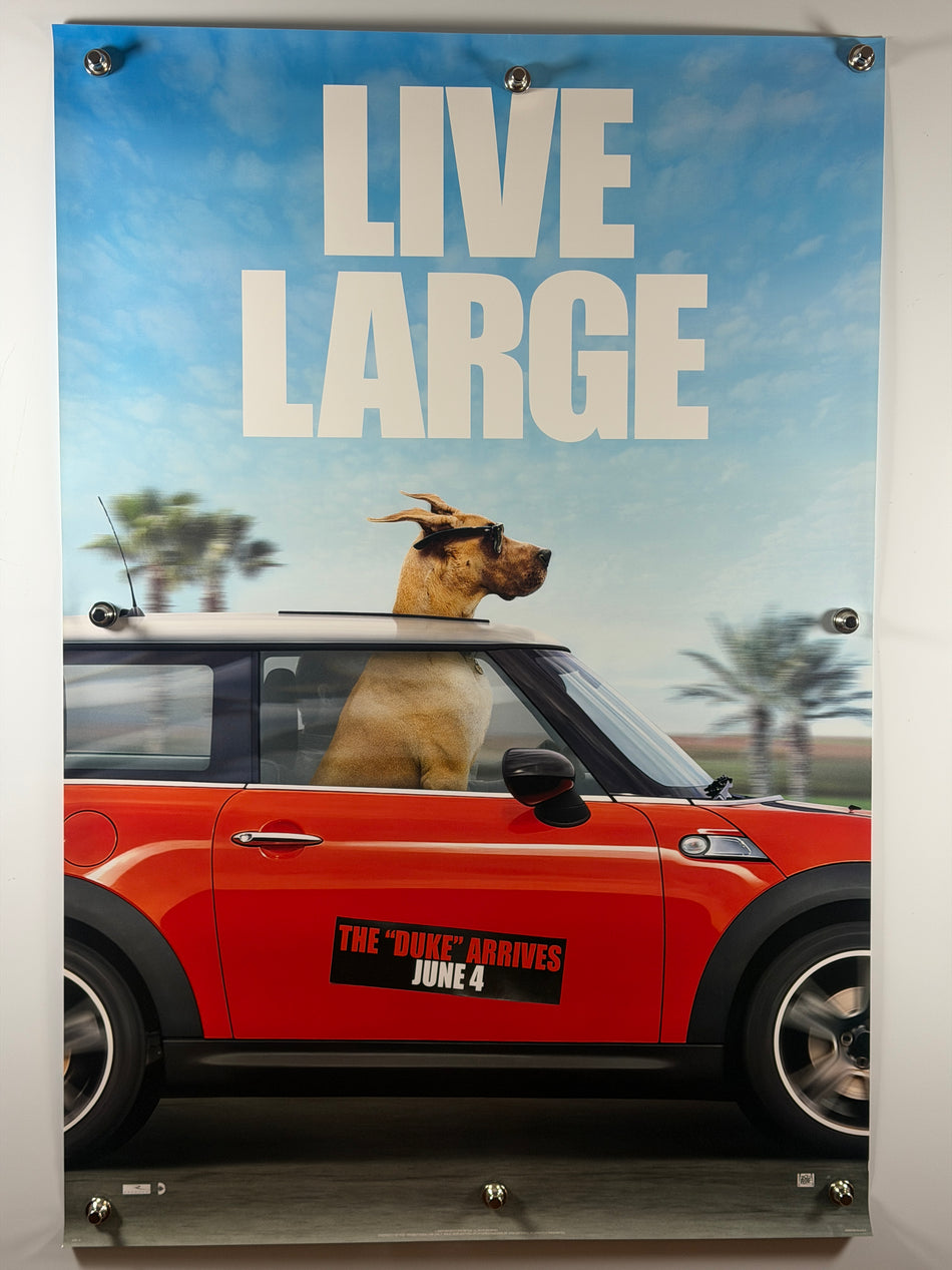 MARMADUKE 2010 Original Movie Poster 27x40 DS Rolled Advance Teaser Live Large Great Dane