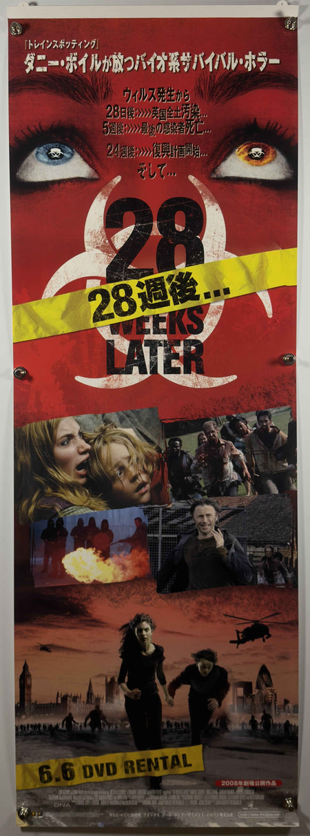 28 WEEKS LATER 2008 Original Japanese DVD Rental Poster/Banner SS Rolled Horror 6.6 Release