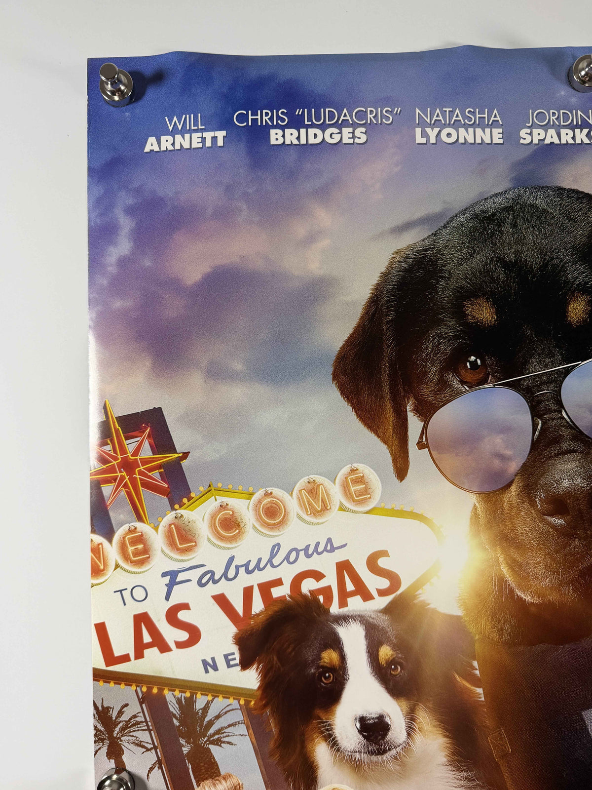 SHOW DOGS 2018 Original Movie Poster 27x40 DS Rolled Will Arnett Ludacris Shaquille O'Neal