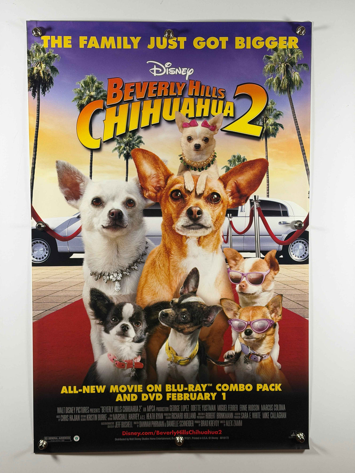 BEVERLY HILLS CHIHUAHUA 2 2011 Original Home Video Poster 27x40 SS Rolled Disney Dog Movie