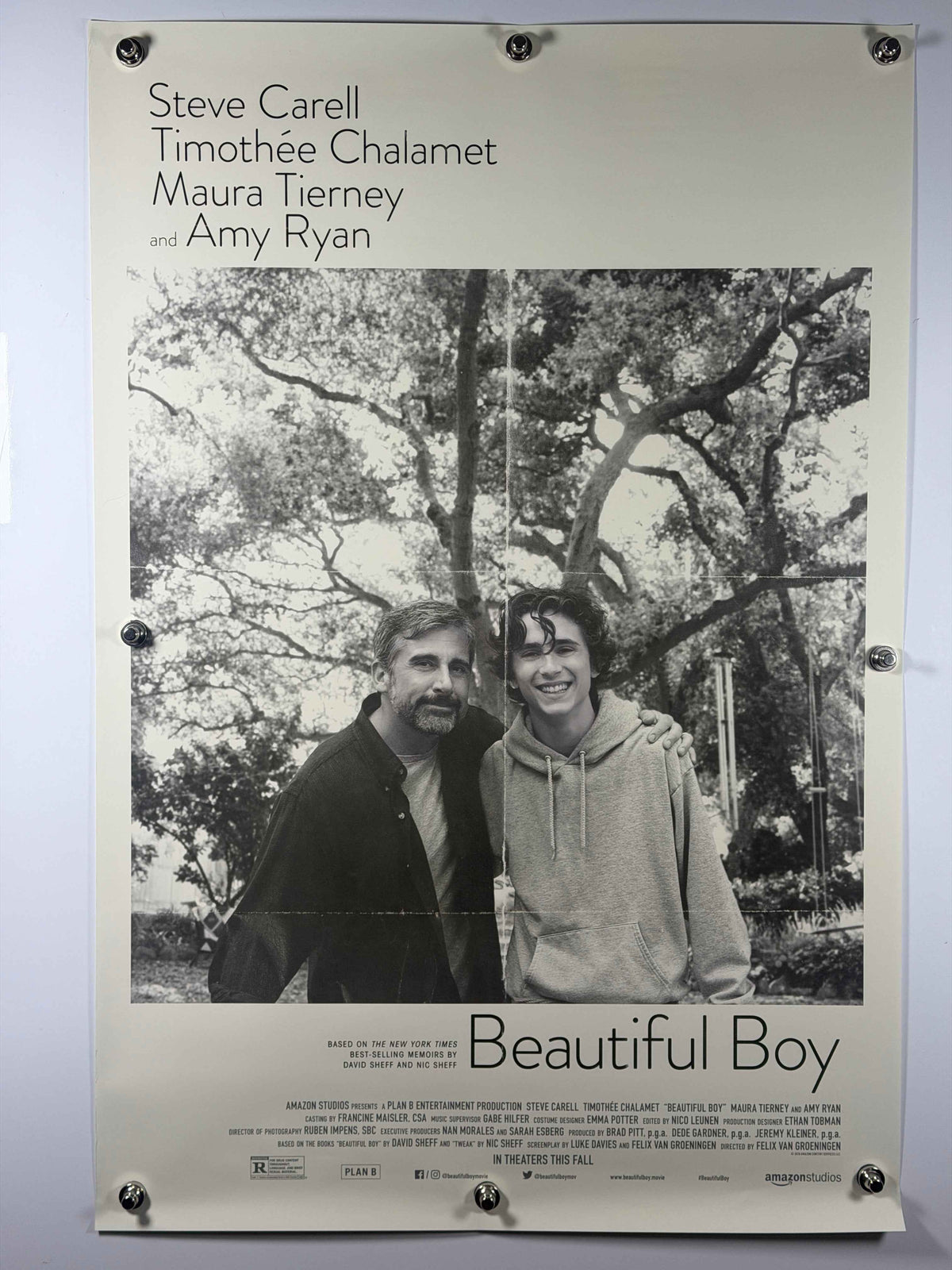 BEAUTIFUL BOY 2018 Original Movie Poster 27x40 DS Rolled Steve Carell Timothée Chalamet