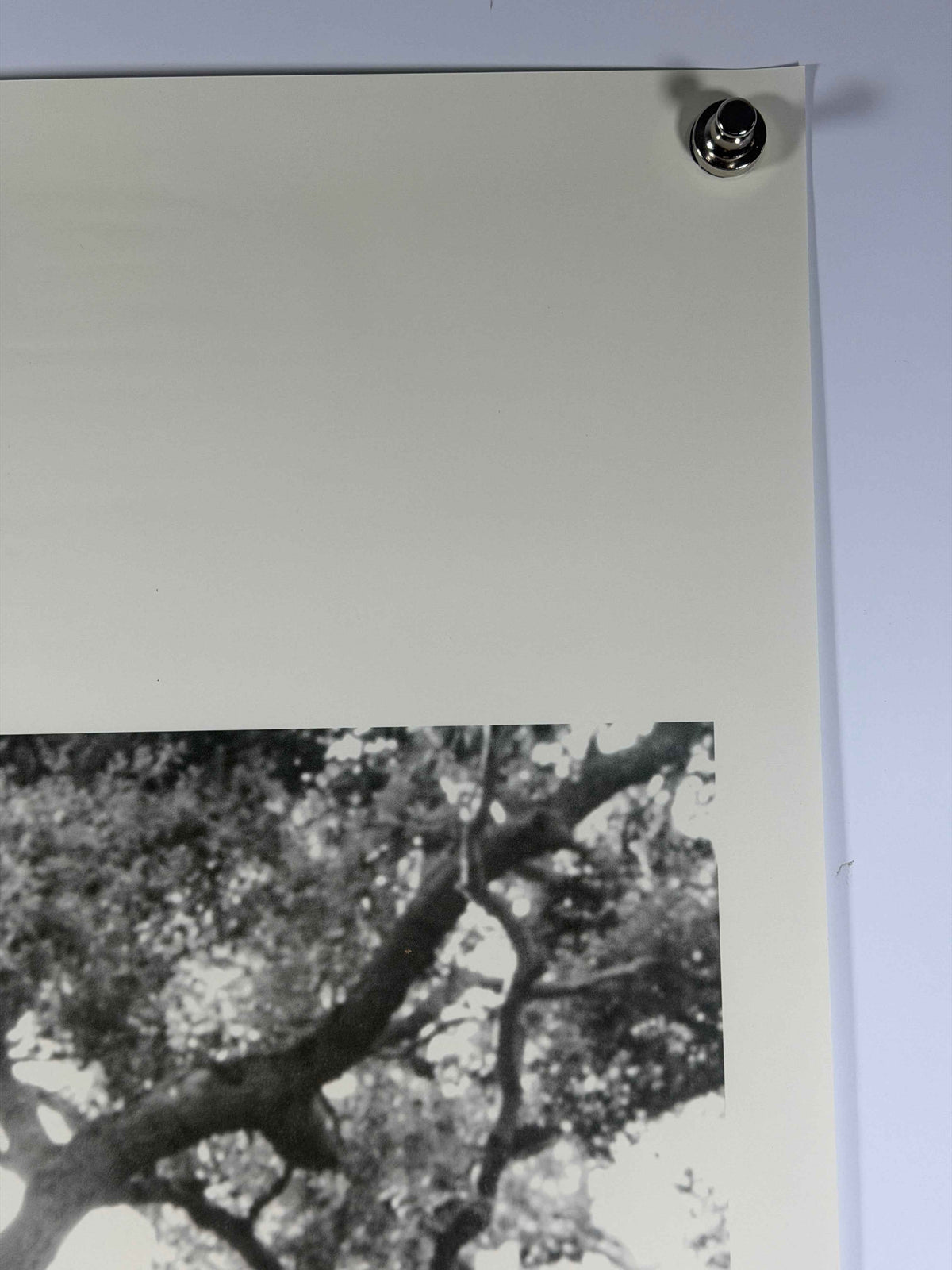 BEAUTIFUL BOY 2018 Original Movie Poster 27x40 DS Rolled Steve Carell Timothée Chalamet