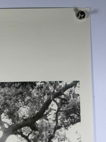 BEAUTIFUL BOY 2018 Original Movie Poster 27x40 DS Rolled Steve Carell Timothée Chalamet
