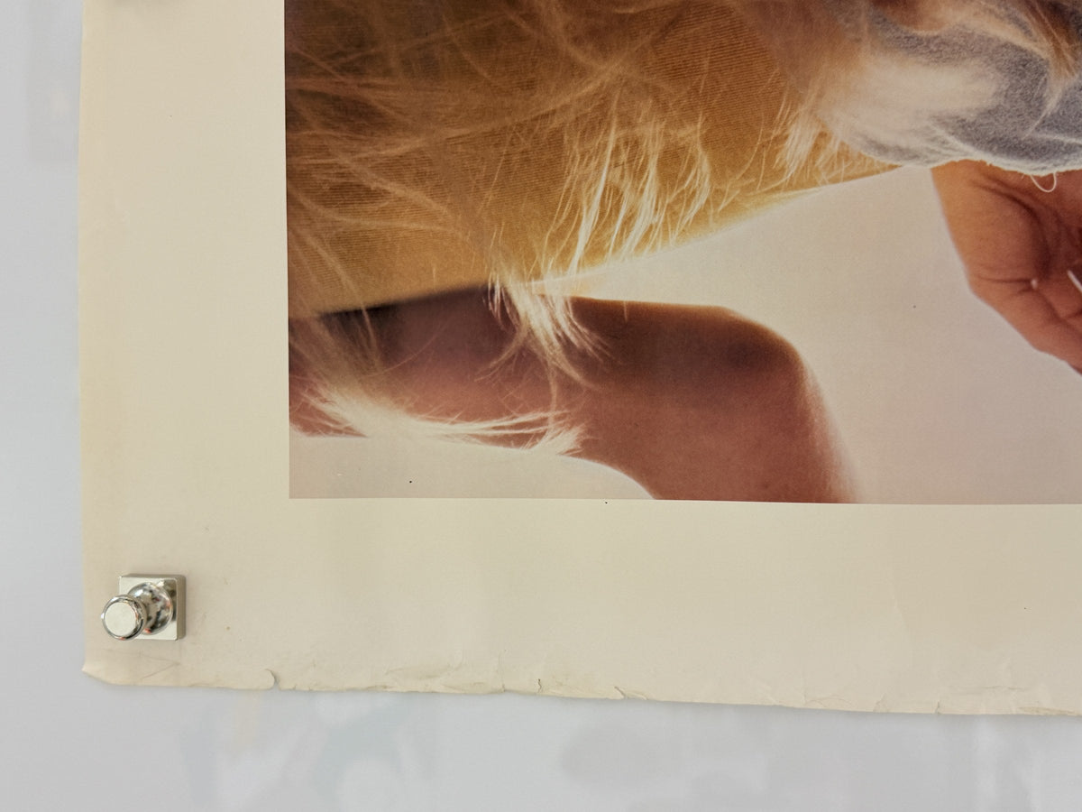 Disco (Undated) Poster 24x30 detail