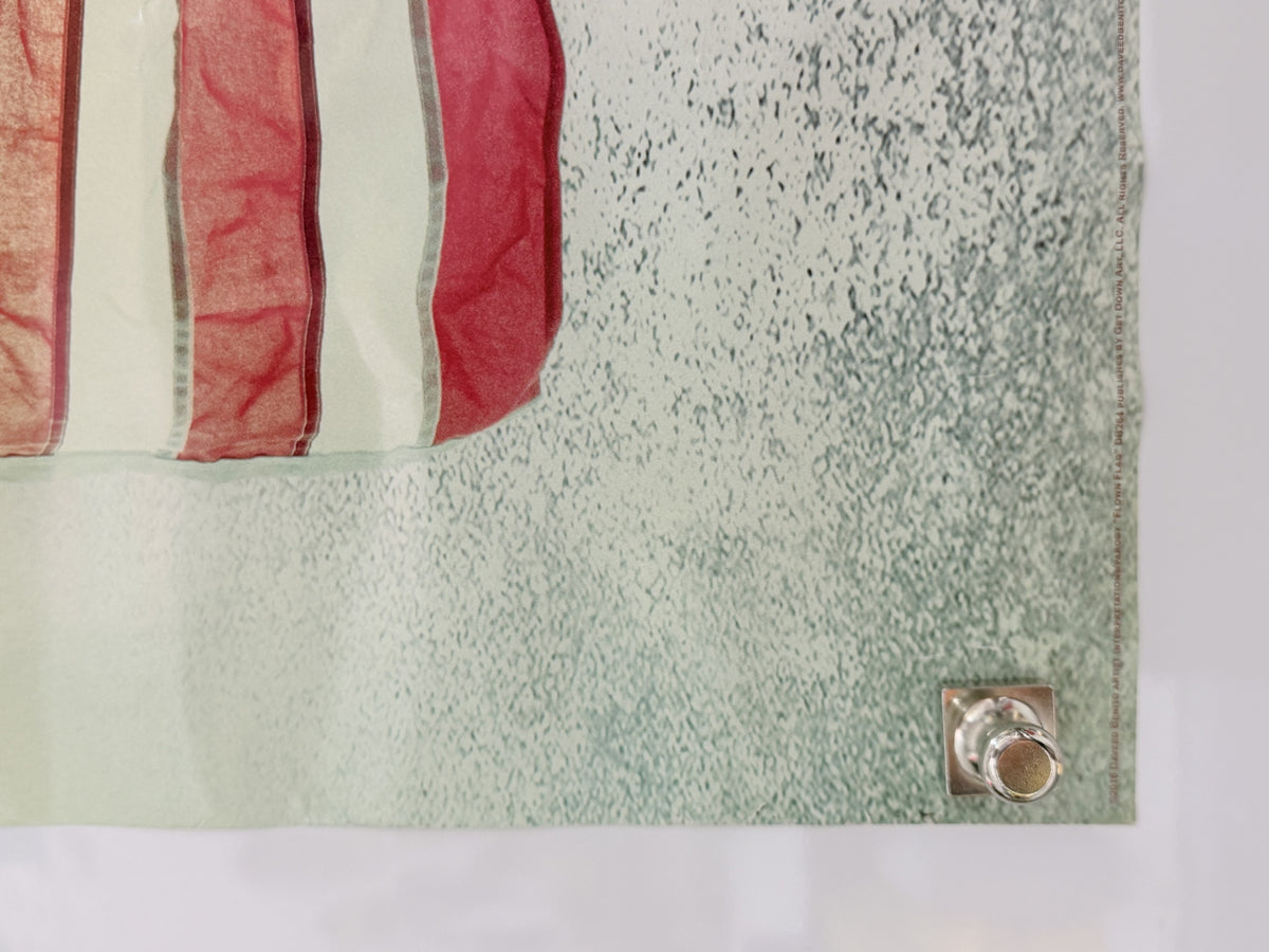 Flown Flag poster detail
