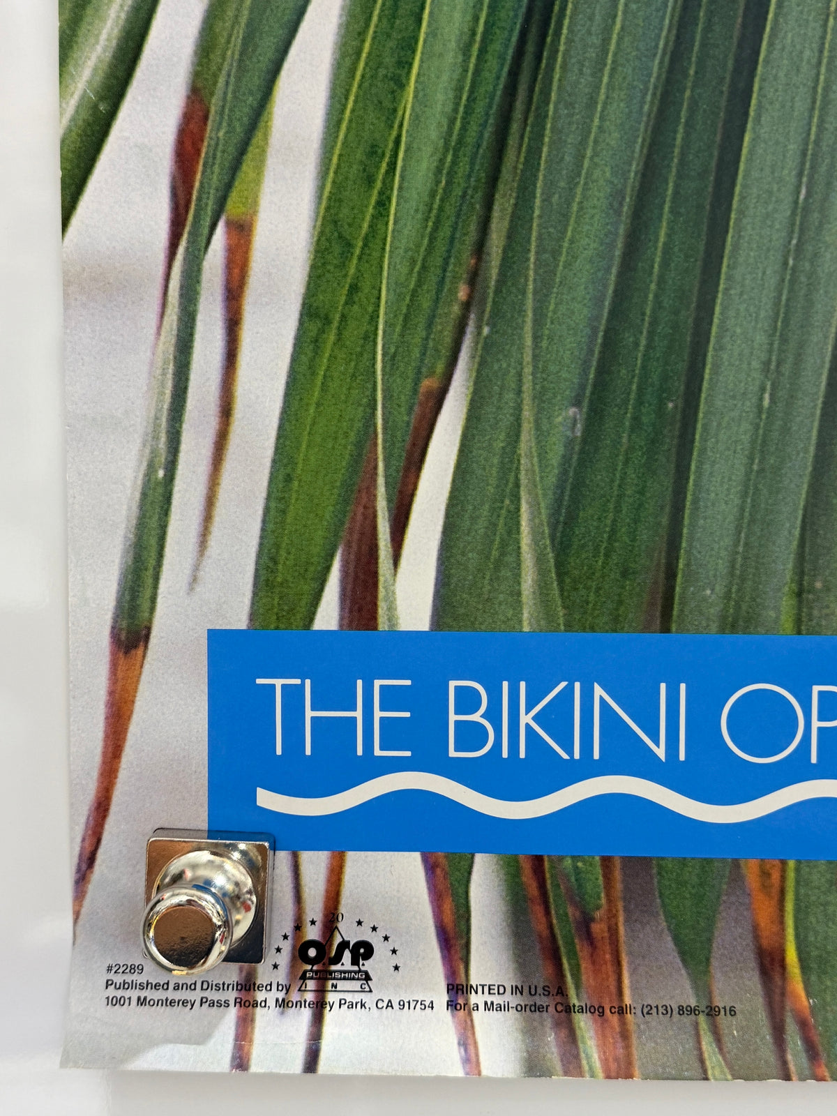 1993 The Bikini Open #2289 OSP Vintage Swimsuit Poster 23x35 Rolled — detail 2