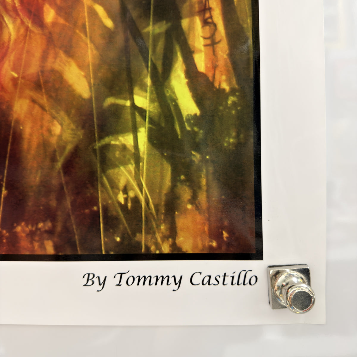 Undated Poison by Tommy Castillo Signed Numbered 5/500 Art Print 30x20 — detail 3