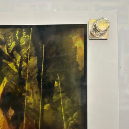Undated Poison by Tommy Castillo Signed Numbered 5/500 Art Print 30x20 — detail 4