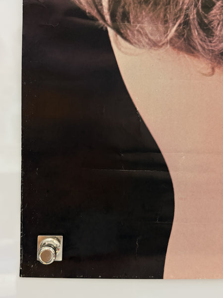 1970 Raquel Welch Synergisms #420 Vintage Personality Poster 24x36 Rolled — detail 1