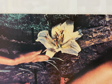 Roxy Music Stranded poster detail