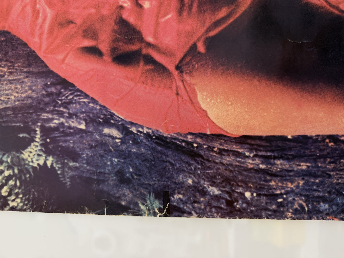 Roxy Music Stranded poster detail