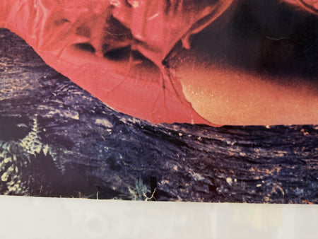 Roxy Music Stranded poster detail