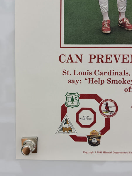 Smokey Bear poster detail