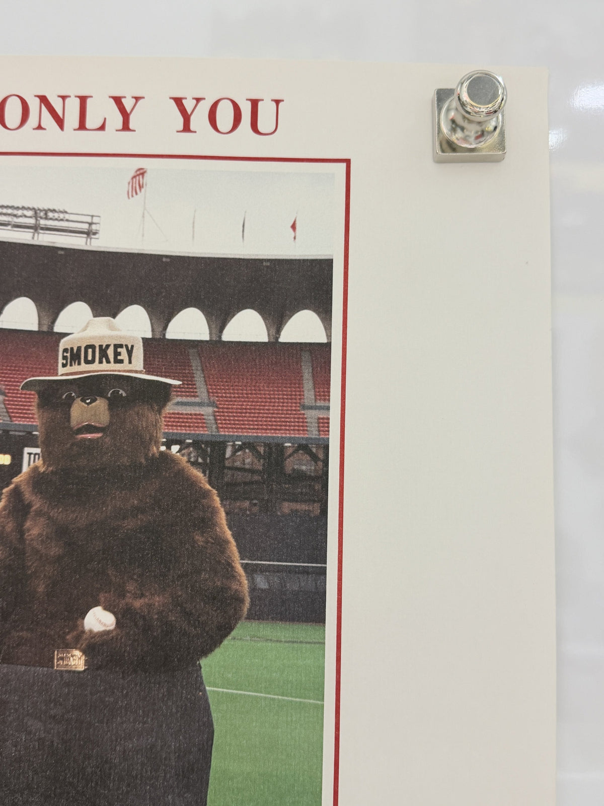 Smokey Bear poster detail