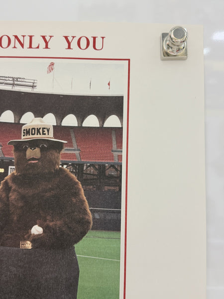 Smokey Bear poster detail