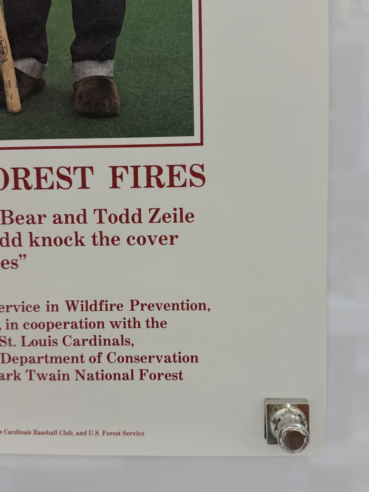 Smokey Bear poster detail