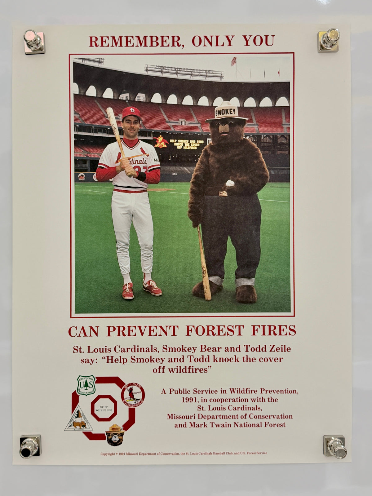 Smokey Bear (1991) forest fire prevention poster