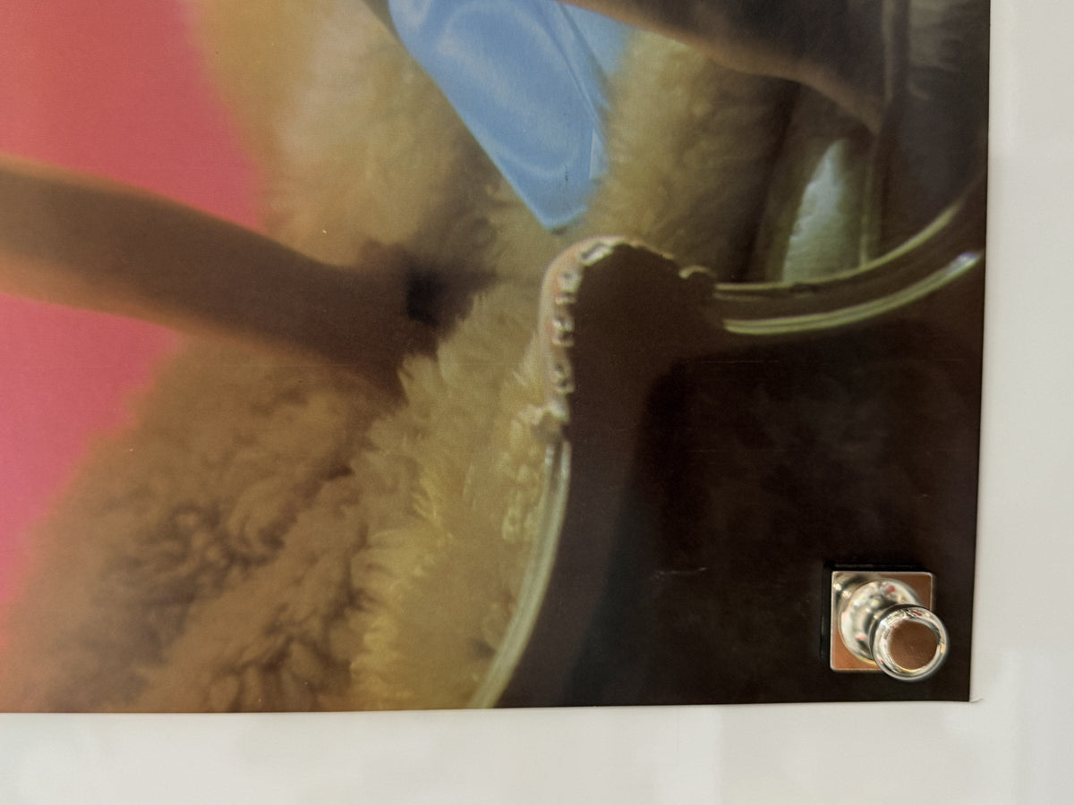 Suzanne Somers (1978) Personality Poster 20x28 detail